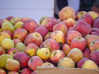 Heap of Indian apples ready to be sell in apple fruit market.