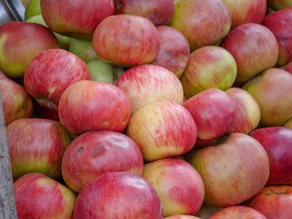 Heap of Indian apples ready to be sell in apple fruit market.