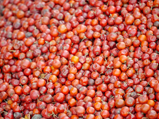 Heap of Red Indian jujube also known as Chinee apple, Chinese apple, jujube, Indian plum, masau,...