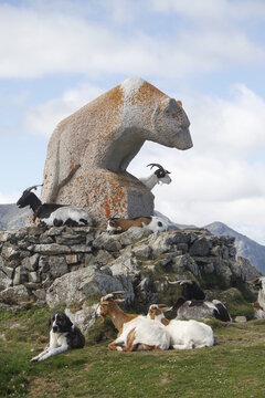 COLLADO DE LLESBA