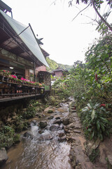 Obraz premium Mae On sub-district,Chiang Mai,northern Thailand on January 12,2019:Fresh and cool streams running through a coffee shop in Mae Kampong village