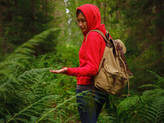 journey in summer Russia, Komarovo village, ecological trail Komarovsky coast. Woman from behind relaxing in park trail hike. Route walkways laid in the forest, in Kurortny District of St. Petersburg