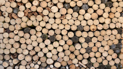 Rundholz Stapel in Nahaufnahme, teils auch mit anderen Holzstücken