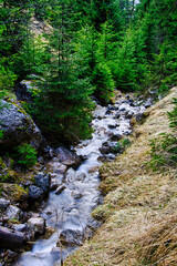 Kleine Bach in den Bergen in Österreich 