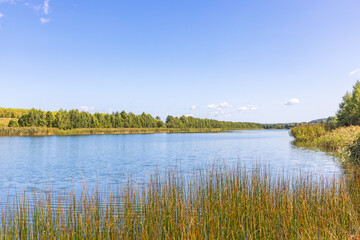 Beautiful lake with reeds and trees on the beach