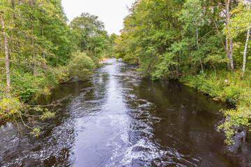 Obraz premium Watercourse with running water in a lush green forest