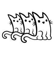 Team 3 süße Katzen 