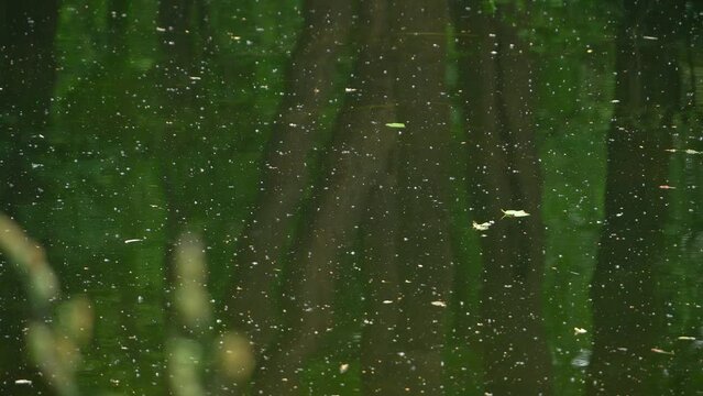 widok na płynącą wodę rzeki