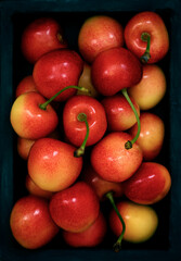 Red and yellow sweet cherry on a black background 