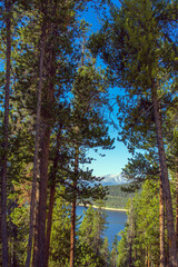 Evergreen trees, blue water, and Rocky Mountains at Turquoise Lake in Colorado