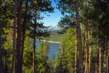Evergreen trees, blue water, and Rocky Mountains at Turquoise Lake in Colorado