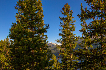Evergreen trees, blue water, and Rocky Mountains at Turquoise Lake in Colorado