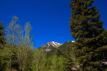 Obraz premium Colorado's Rocky Mountains in spring
