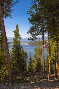 Evergreen trees, blue water, and Rocky Mountains at Turquoise Lake in Colorado