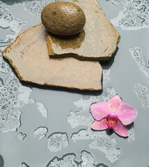 concept photo for spa wellness closeup with free space for text for banners and postcards stones in water and orchid flower