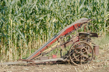 Antique horse drawn corn picker sitting beside a corn field | Holmes County, Ohio