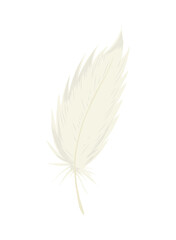 white bird feather