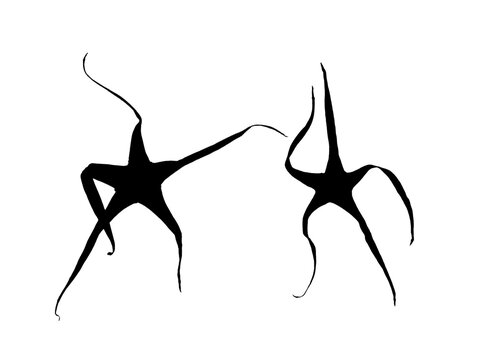 Saturday night dance performed by tomato sepals, silhouetted.