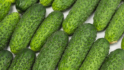 Fresh green cucombers as a background
