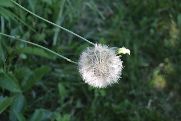 Hawthorne Hollow nature preserve