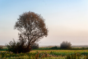 Poranek w Narwiańskim Parku Narodowym, Podlasie, Polska © podlaski49