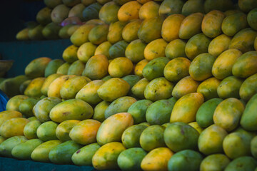 Fresh mangoes at the stall. Neatly arranged.