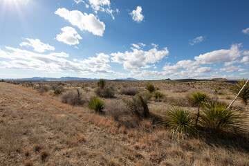 west texas landscape
