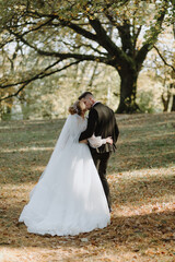 Stylish bride and groom are kissing in the forest against the background of an old tree, rear view.  The bride and groom go together to a big old tree.