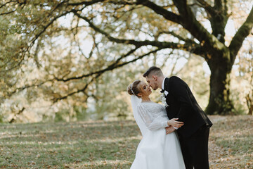 Stylish bride and groom are kissing in the forest against the background of an old tree, rear view. The bride and groom hug under a big old tree in the rays of the setting summer sun.