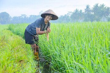 Naklejka na ściany i meble Attractive cheerful young Asian farmer bend down and smiling showing thumb up at the rice field. Modern agriculture concept. 
