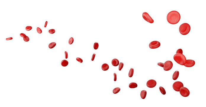 Blood cells isolated on a white background. Blood cells in a vein, 3d render. Concept of medicine or microbiology.