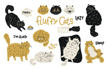 fat domestic fluffy lazy cats, vector illustration, color set in different poses, hand drawing - 512839697
