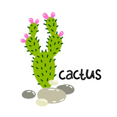 tropical green cactus and stones vector illustration hand drawn - 512840406