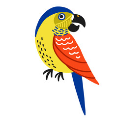 tropical bright colored parrot, vector illustration - 512840407