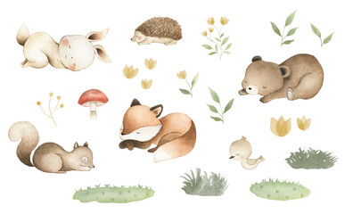 Fototapety  Woodland baby animals watercolor nursery cute illustration bunny bear fox bird hedgehog