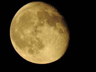 Mond 