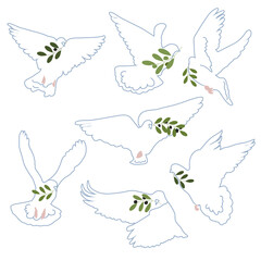White dove of peace with olive branch vector set