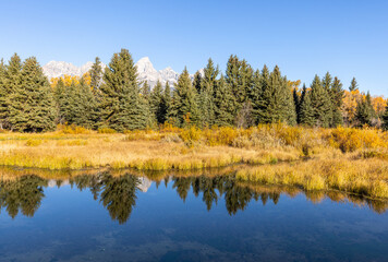 Scenic Reflection Landscape in Grand Teton National Park Wyoming in Autumn