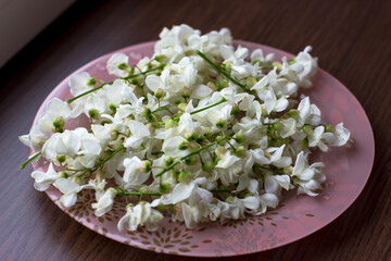 Acacia flowers on a plate. Fragrant and healthy acacia flowers