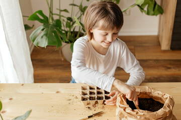The girl collects soil in peat pots for planting seeds. Spring gardening hobby for the whole...