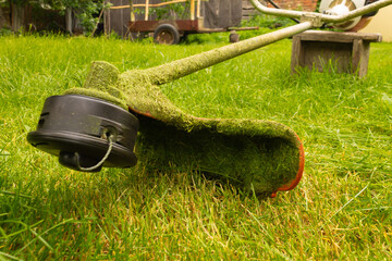 Petrol trimmer mows green grass. Photography with movement