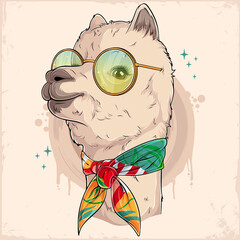 Hand drawn cute Alpaca with colorful eyeglasses and floral print scarf