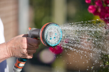 Close-up shot of watering plants with a garden hose and a handheld sprayer in the evening