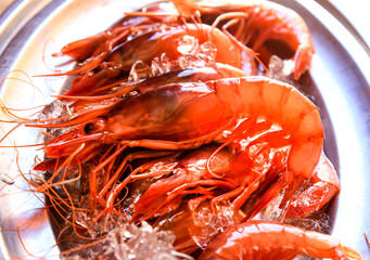 Santa Pola red prawn on stainless steel tray