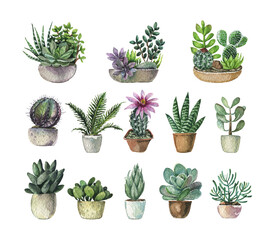 Set of different succulents in pots. Watercolor illustration isolated on white.