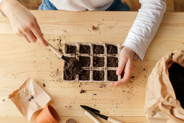 Top view of the hands of a girl who collects soil in recyclable peat pots to plant seeds for...