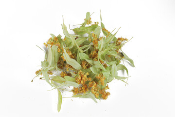 Bunch of dried linden flowers on a white background, close-up, isolate