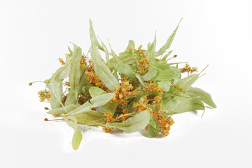 Bunch of dried linden flowers on a white background, close-up, isolate