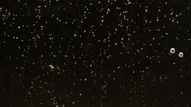 Carbonated water on black background. Fizzy cold drink, summer cool lemonade texture, soft drink, refreshment concept. 