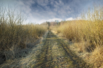 Vanishing dirt road leading though swamp land in early spring, Denmark. Swampy land and wetland against a cloudy overcast sky in nature. Wet and muddy path or rut through a field in the countryside
